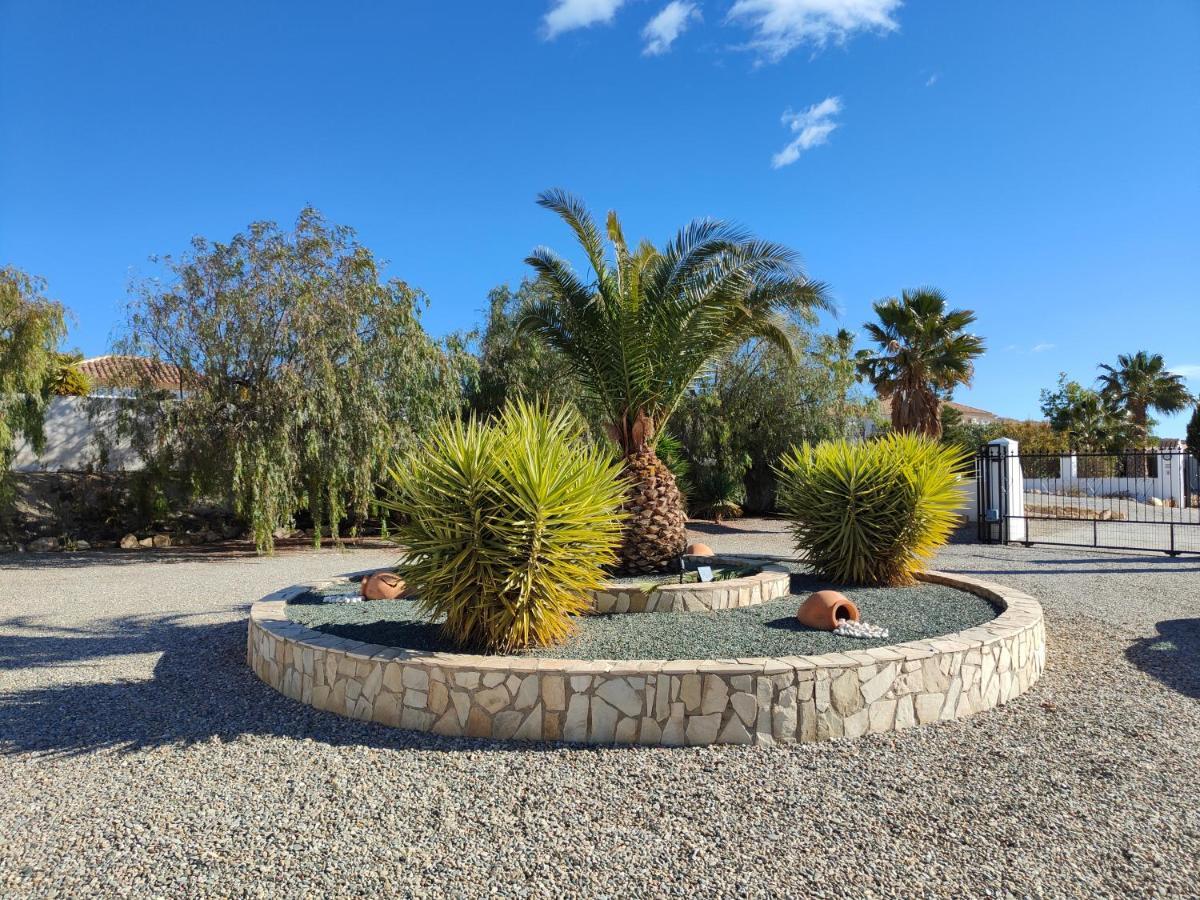 Villa Alta Vista Albox Eksteriør bilde